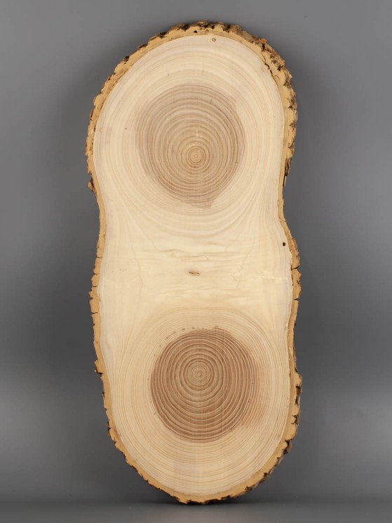 Спил дерева ясень d 18-43 см ТВ-1867