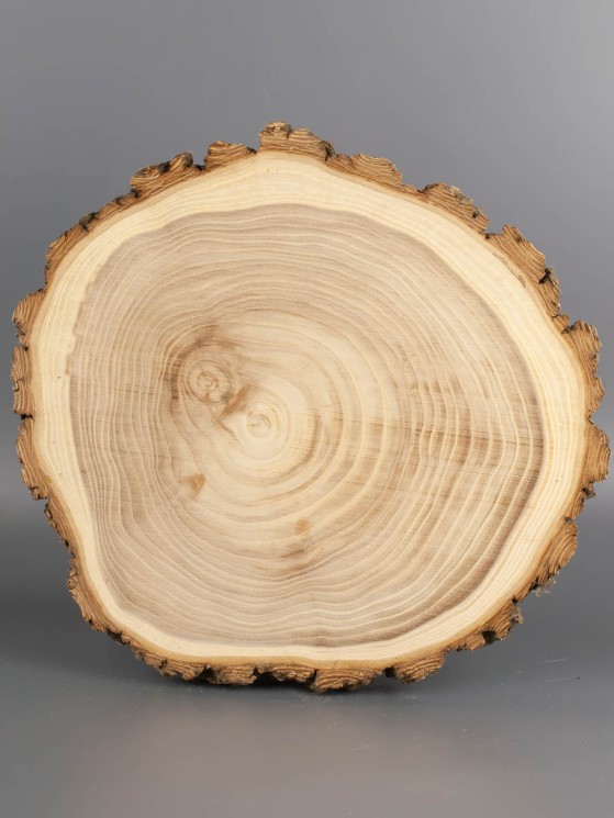 Спил дерева вяз (карагач) d 23-26 см ТВ-1990