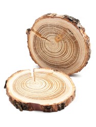 Спил лиственницы d 12-14см (2 шт.) ТВ-469