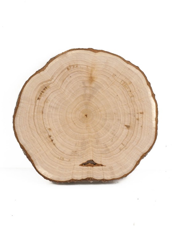 Спил дерева ольха d 10-12 см ТВ-1105