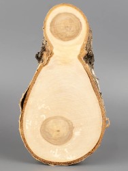 Спил дерева берёза d 10-18 см ТВ-1788