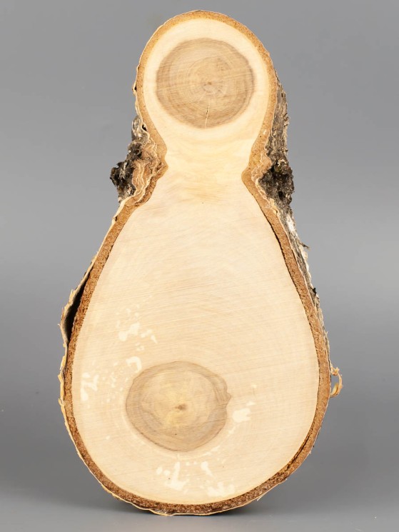 Спил дерева берёза d 10-18 см ТВ-1788