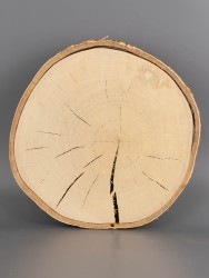 Спил дерева берёза (шпальт) d 18-20 см ТВ-1991
