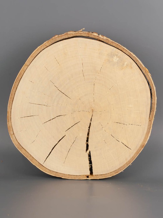 Спил дерева берёза (шпальт) d 18-20 см ТВ-1991