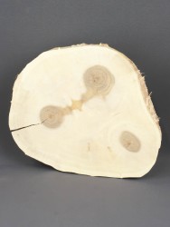 Спил дерева ива d 17-21 см ТВ-1509