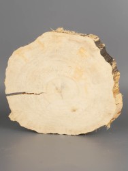 Спил дерева клён d 16-18 см ТВ-1992