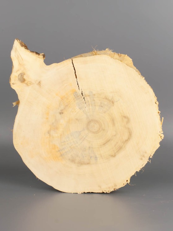 Спил дерева клён d 19-22 см ТВ-1993