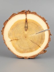 Спил можжевельника d 8-10 см ТВ-1792