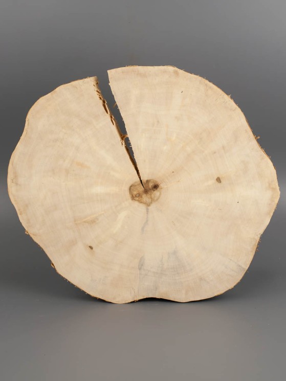 Спил дерева каштан d 24-27 см ТВ-1871