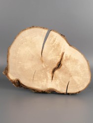 Спил дерева груша d 18-26 см ТВ-1994