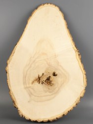 Спил дерева клён d 27-40 см ТВ-2012