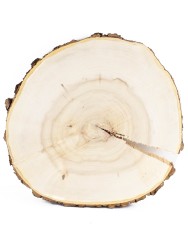 Спил дерева клён d 27-29 см ТВ-1559