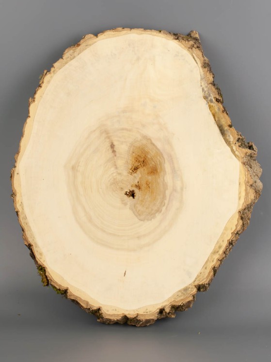 Спил дерева клён d 25-30 см ТВ-2013