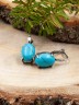 Серьги из иск. бирюзы "Визит" сг-104-БРГ