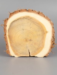 Спил можжевельника d 11-13 см ТВ-1794