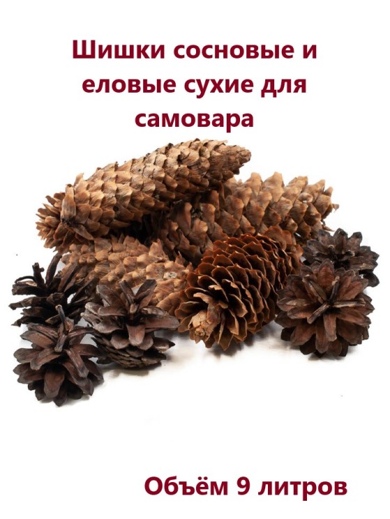 Шишки сосновые и еловые, 9 литров ТВ-350
