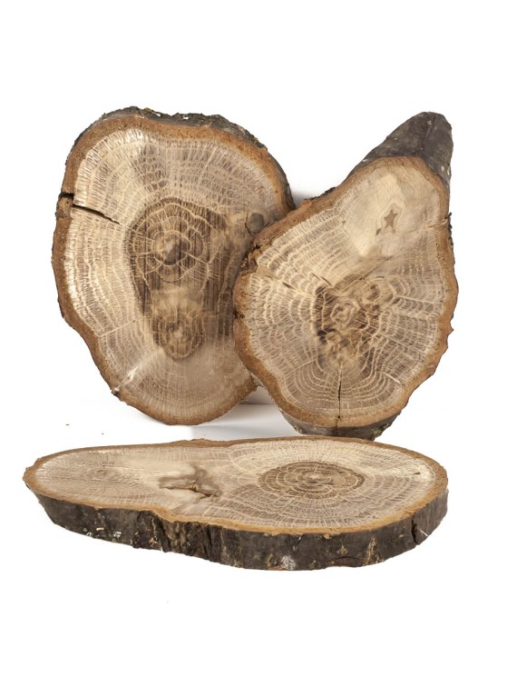 Спил дерева дуб d 6-9 см (3 шт.) ТВ-1013