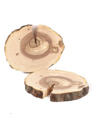 Спил дерева яблоня 9-12 (2 шт.) ТВ-1513