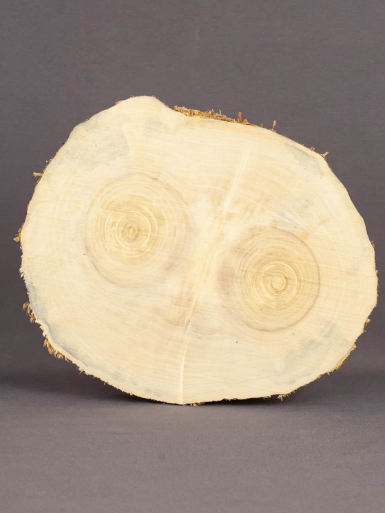 Спил дерева клён d 15-18 см ТВ-1699