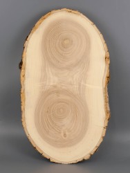 Спил дерева ясень d 21-36 см ТВ-1999