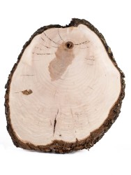 Спил дерева груша d 40-48 см ТВ-1563