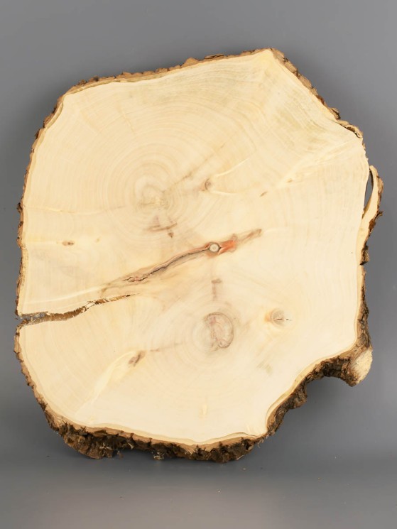 Спил дерева клён d 23-28 см ТВ-2014