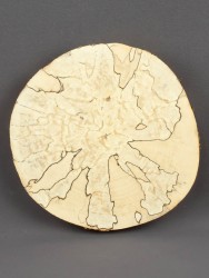 Спил дерева берёза (шпальт) d 13-15 см ТВ-1515