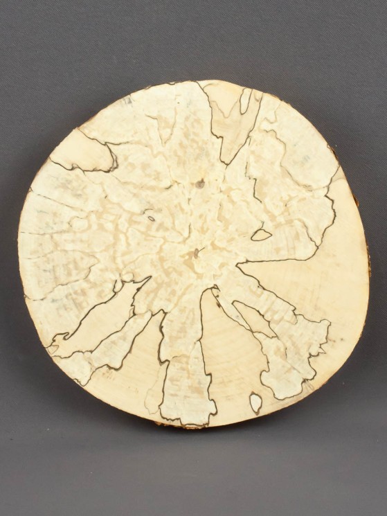 Спил дерева берёза (шпальт) d 13-15 см ТВ-1515