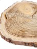 Спил дерева лиственница d 14-16 см, толщина 11-14 мм (1 шт.) ТВ-209