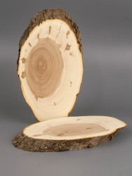 Спил дерева яблоня d 10-16 см 2 шт. ТВ-1876