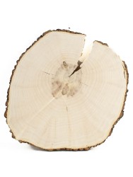 Спил дерева клён 25-28 см КЛ-0054
