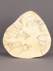 Спил дерева берёза (шпальт) d 17-19 см ТВ-1702