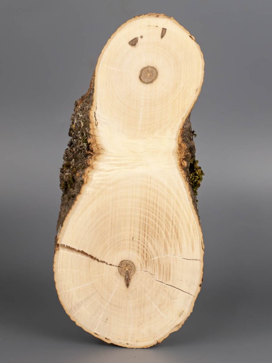 Спил дерева груша d 10-21 см ТВ-1796