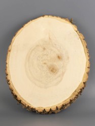 Спил дерева клён d 22-26 см ТВ-2016