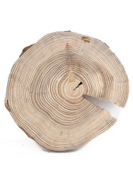 Спил дерева лиственница d 22-24 см, (1 шт.) ТВ-182