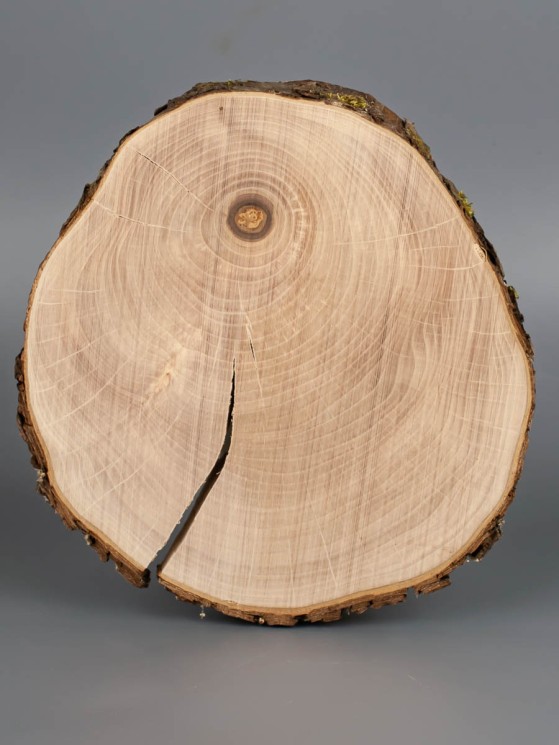 Спил дерева яблоня d 16-18 см ТВ-1798