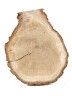 Спил дерева дуб d 13-18 см ТВ-971