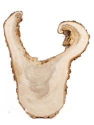 Спил дерева тополь d 62-75 см ТВ-1518