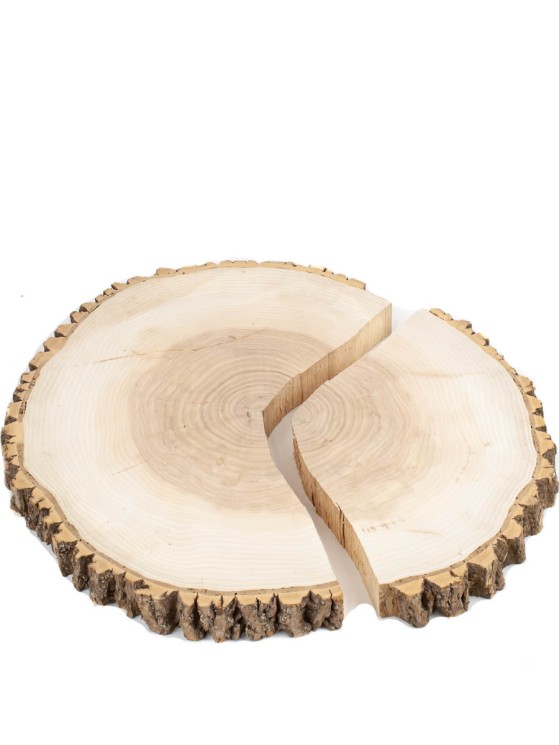 Спил дерева ясень d 44-47 см ТВ-2005