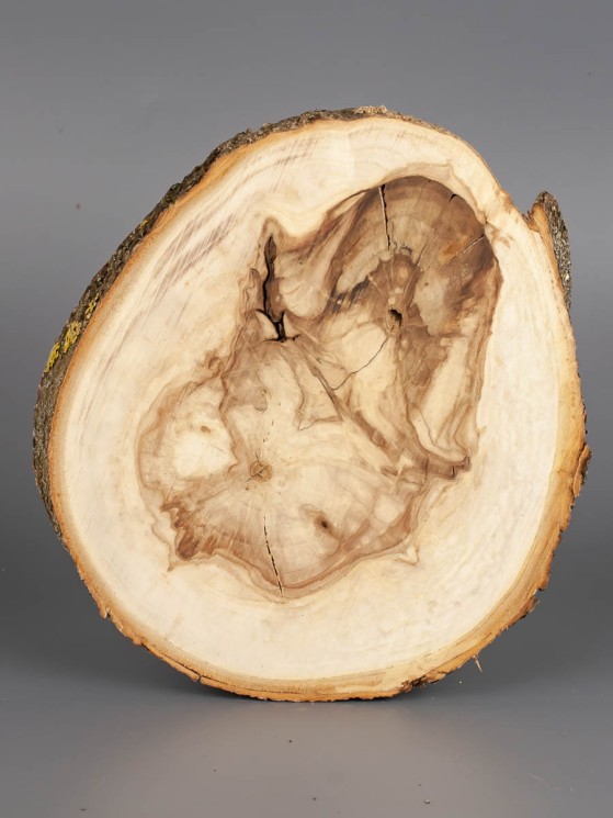 Спил дерева каштан d 12-14 см ТВ-1800