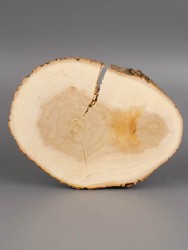 Спил дерева ива d 12-16 см ТВ-1881