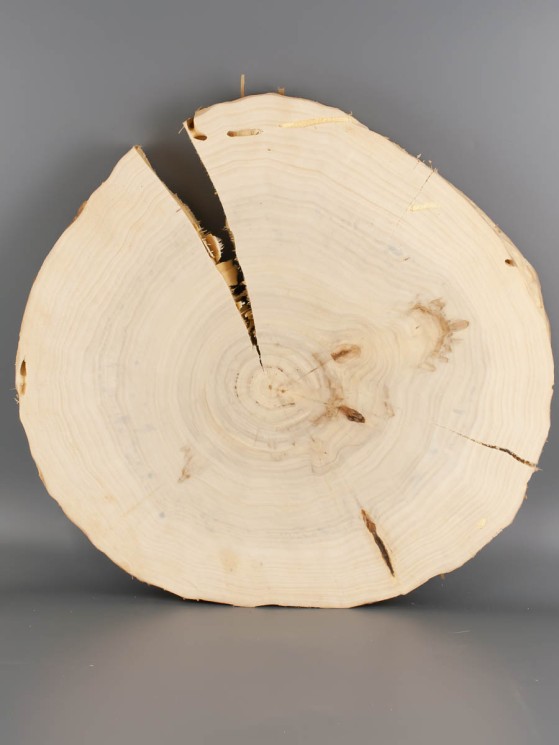 Спил дерева тополь d 37-39 см ТВ-2006