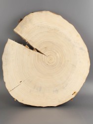 Спил дерева тополь d 35-39 см ТВ-2020