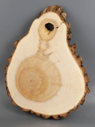 Спил дерева ива d 26-34 см ТВ-2021