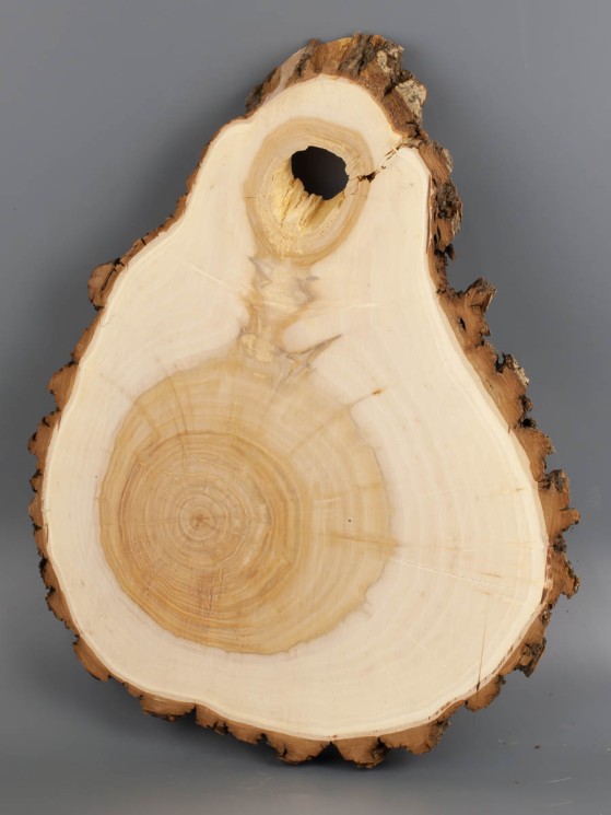 Спил дерева ива d 26-34 см ТВ-2021