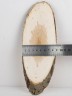 Спил дерева ива d 8-20 см, толщина 15-20 мм (2 шт.) ТВ-373