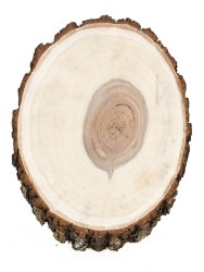 Спил дерева ива d 14-20 см ТВ-1163
