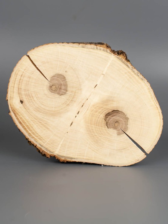 Спил дерева груша d 15-19 см ТВ-1803