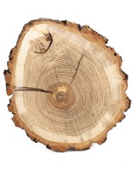 Спил дерева дуб d 20-23 см ТВ-1279