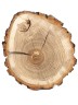 Спил дерева дуб d 20-23 см ТВ-1279